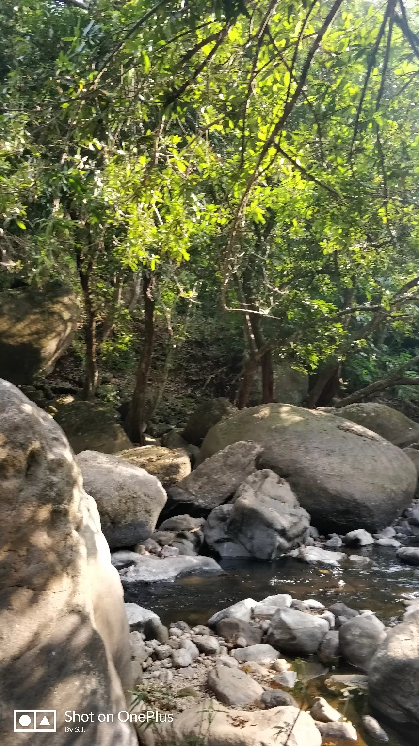 Photo of Thommankuthu Waterfalls By Swathy Joy