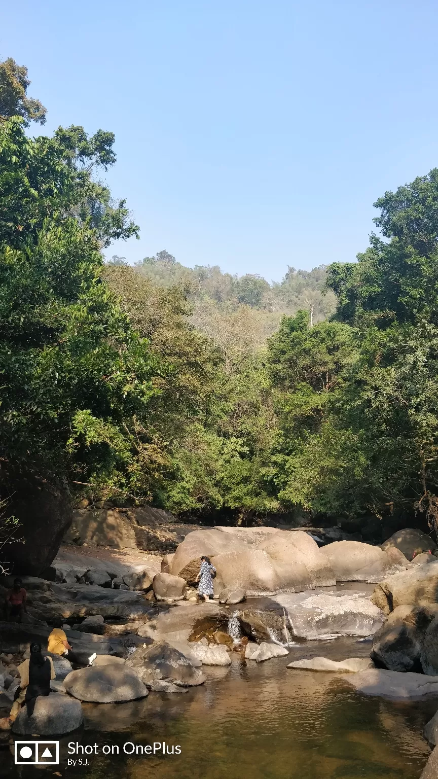 Photo of Thommankuthu Waterfalls By Swathy Joy