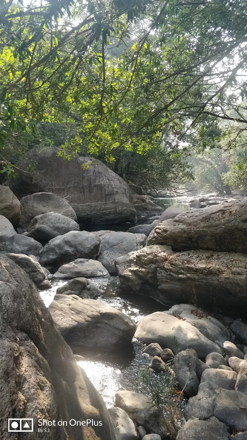 Photo of Thommankuthu Waterfalls By Swathy Joy