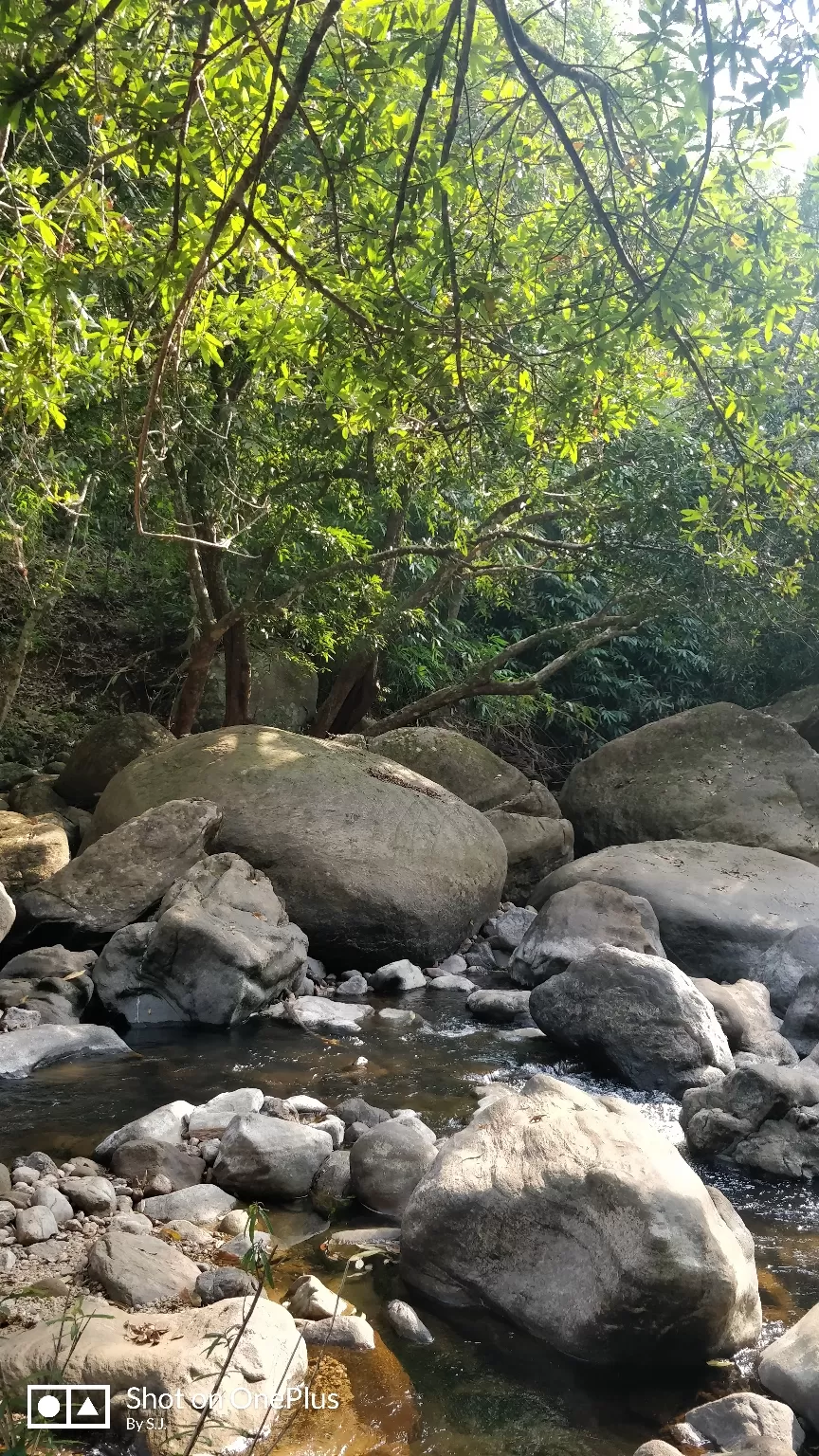 Photo of Thommankuthu Waterfalls By Swathy Joy