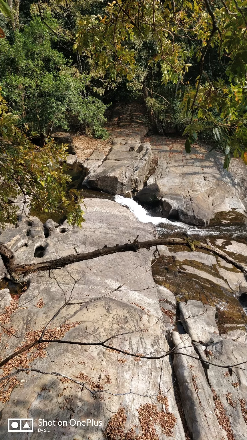 Photo of Thommankuthu Waterfalls By Swathy Joy