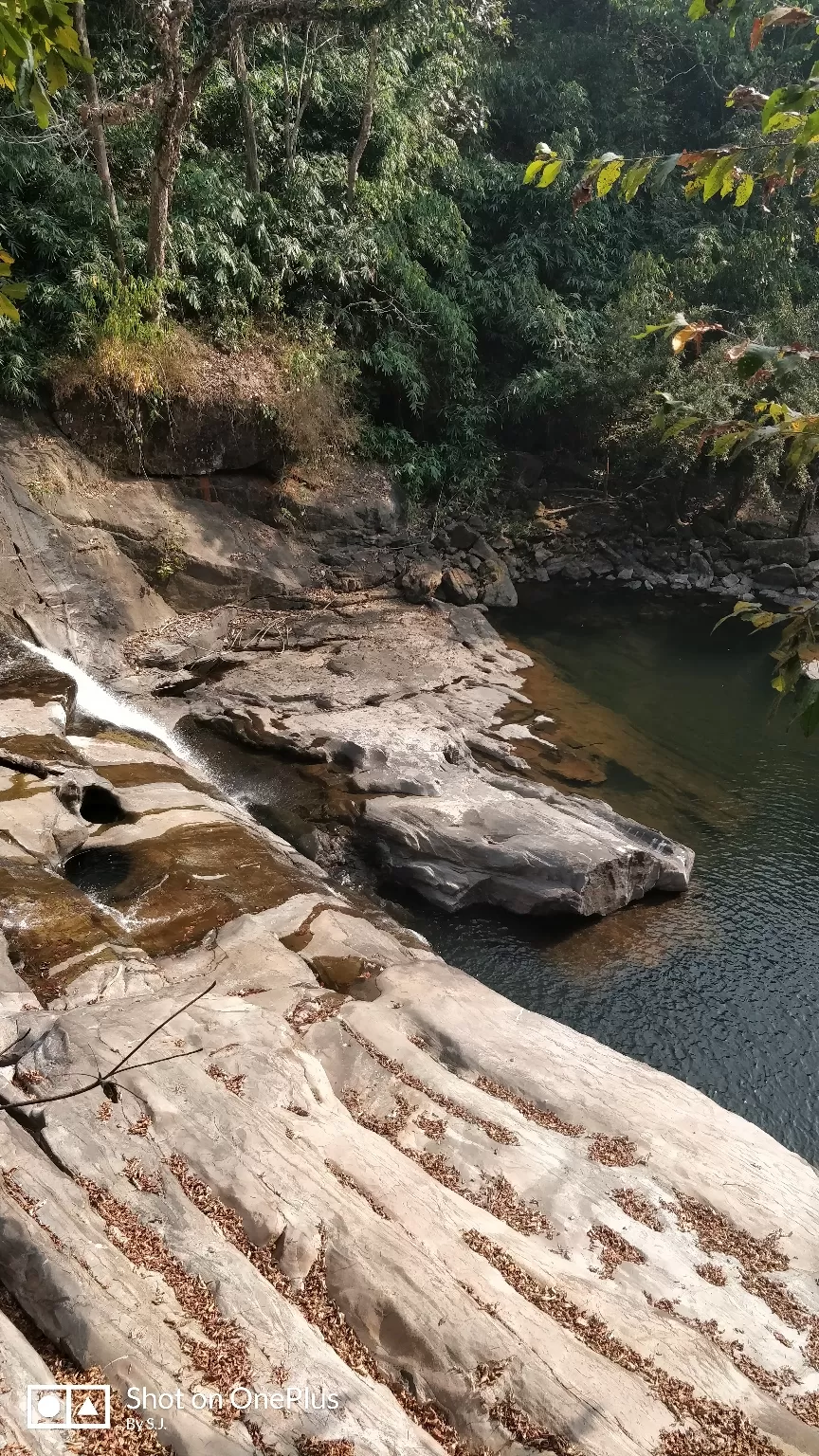 Photo of Thommankuthu Waterfalls By Swathy Joy