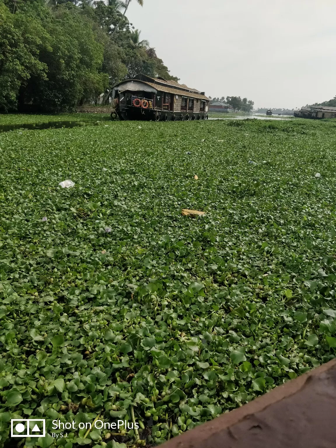 Photo of Alleppey Boathouse Tour By Swathy Joy