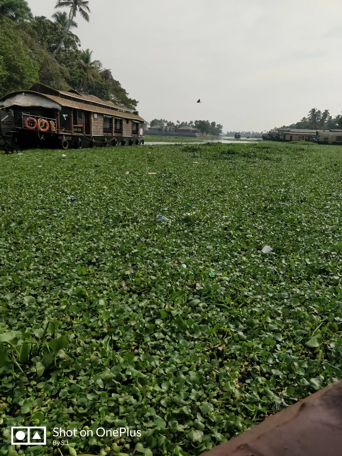 Photo of Alleppey Boathouse Tour By Swathy Joy