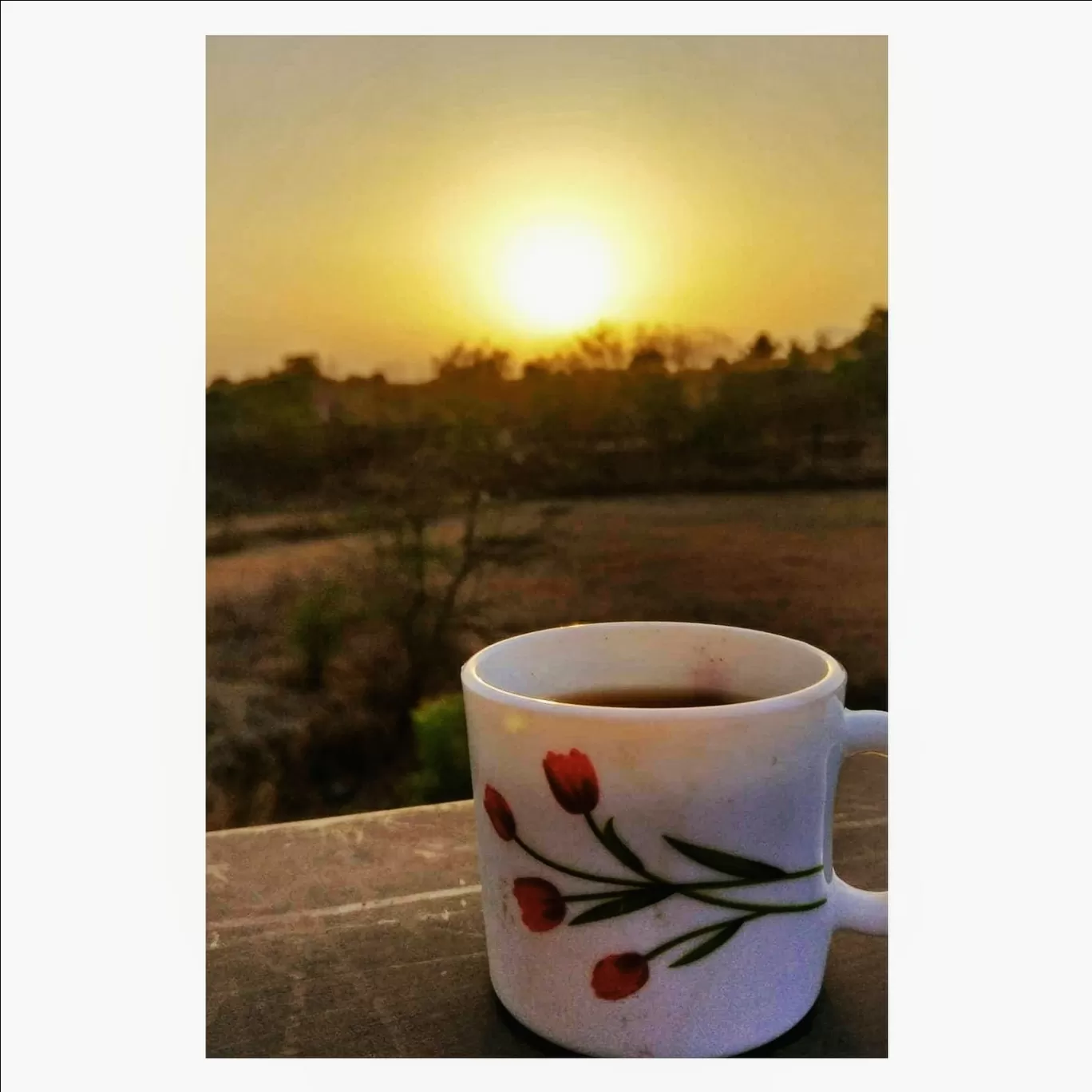 Photo of India By Shruti Patil 