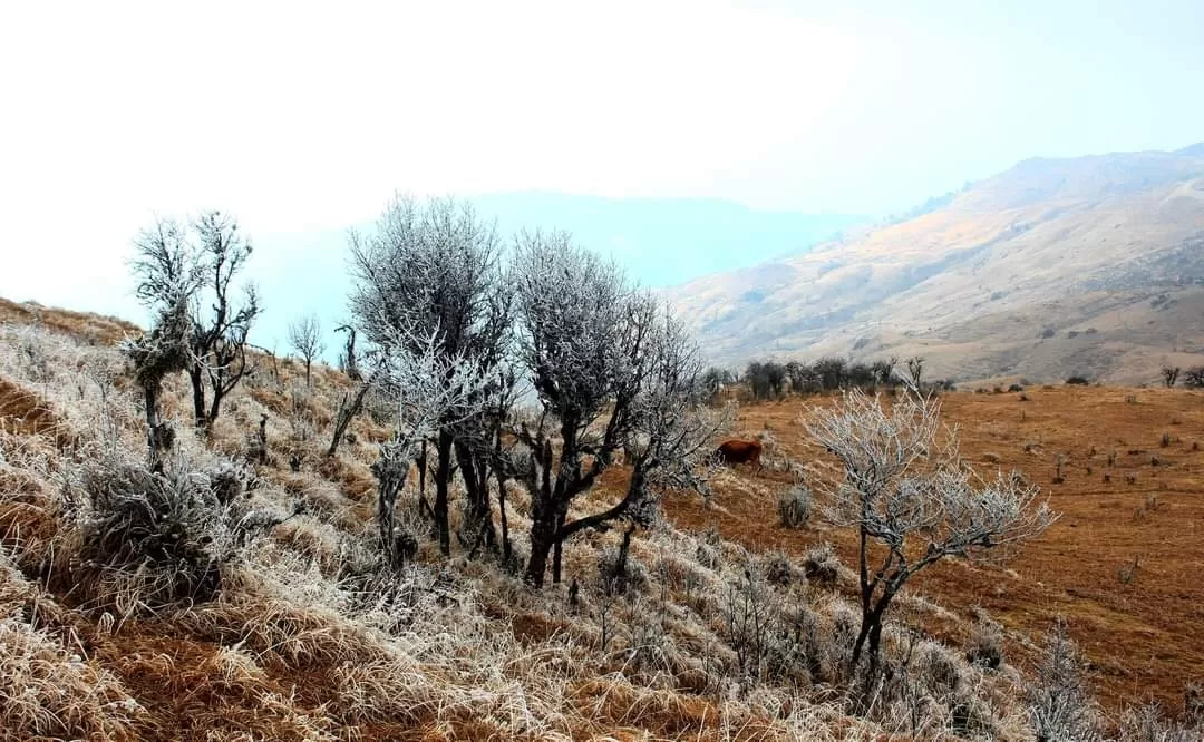 Photo of Singalila National Park By Rishi Biswas
