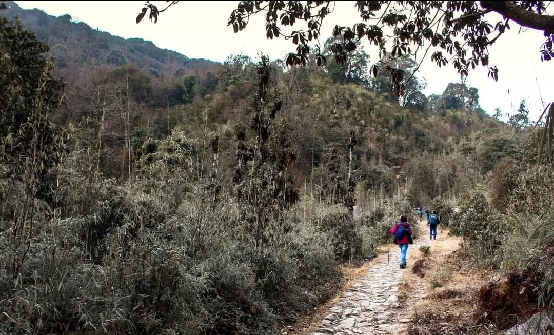 Photo of Singalila National Park By Rishi Biswas