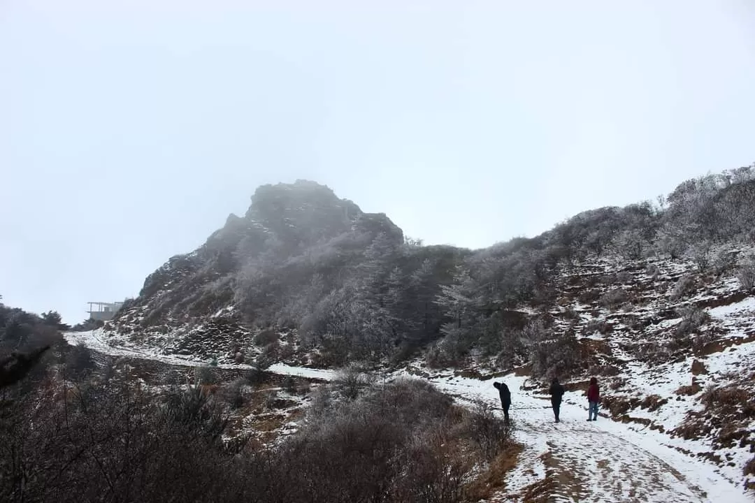 Photo of Singalila National Park By Rishi Biswas