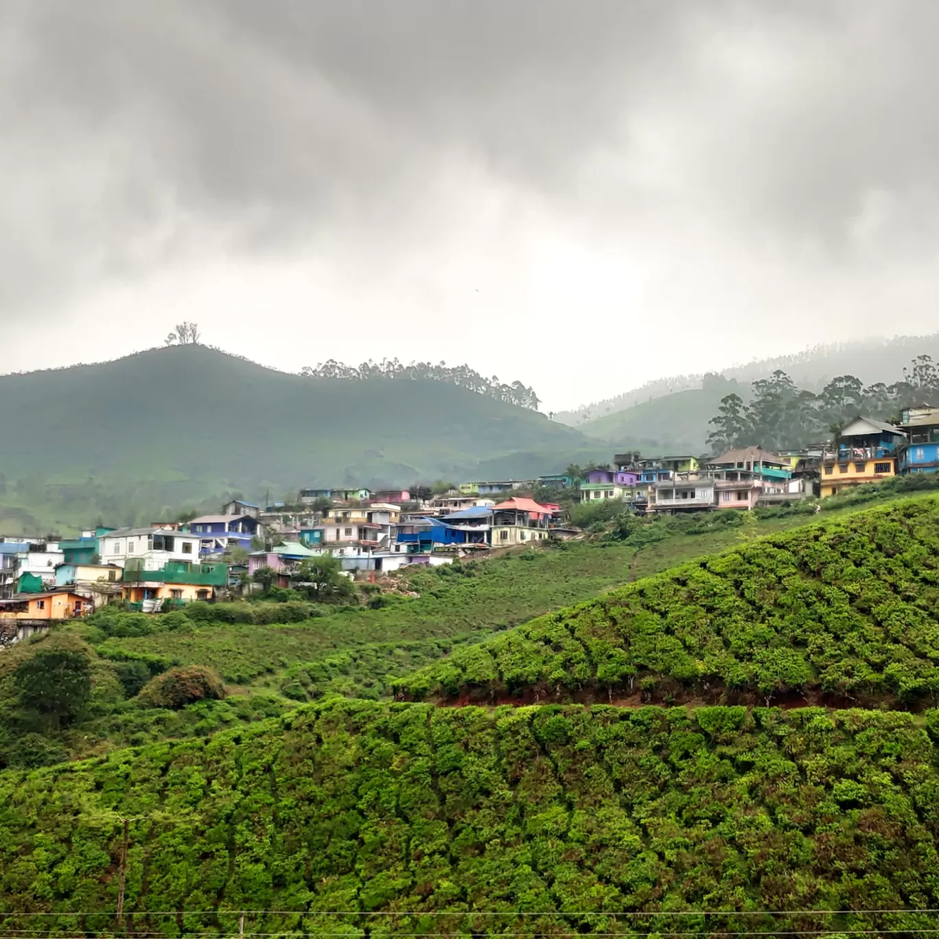 Photo of Munnar By Ashin Vijay