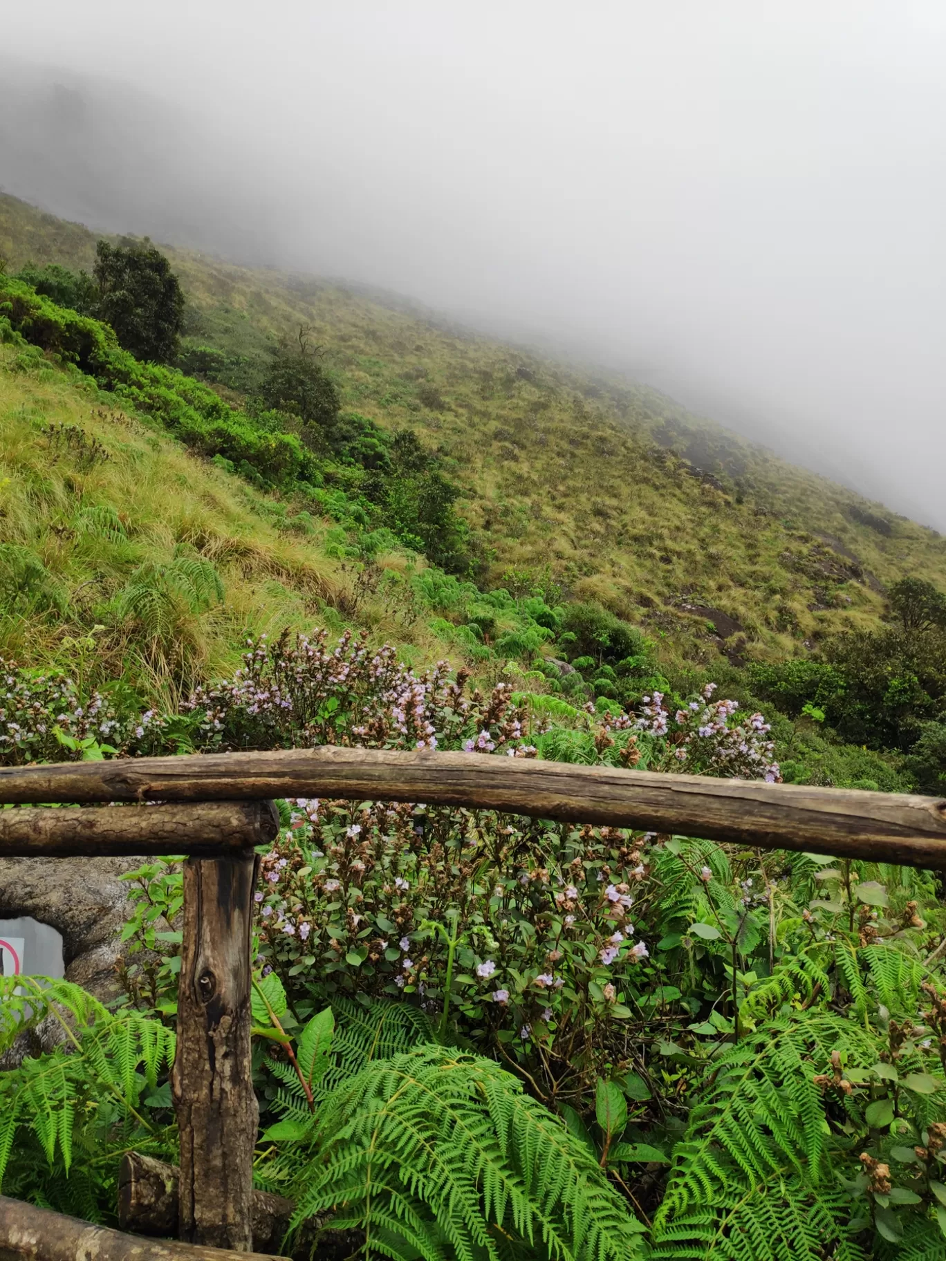 Photo of Munnar By Ashin Vijay