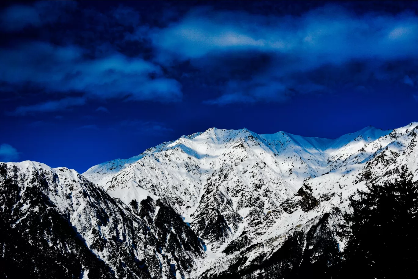 Photo of Riyara By Tanush Pas