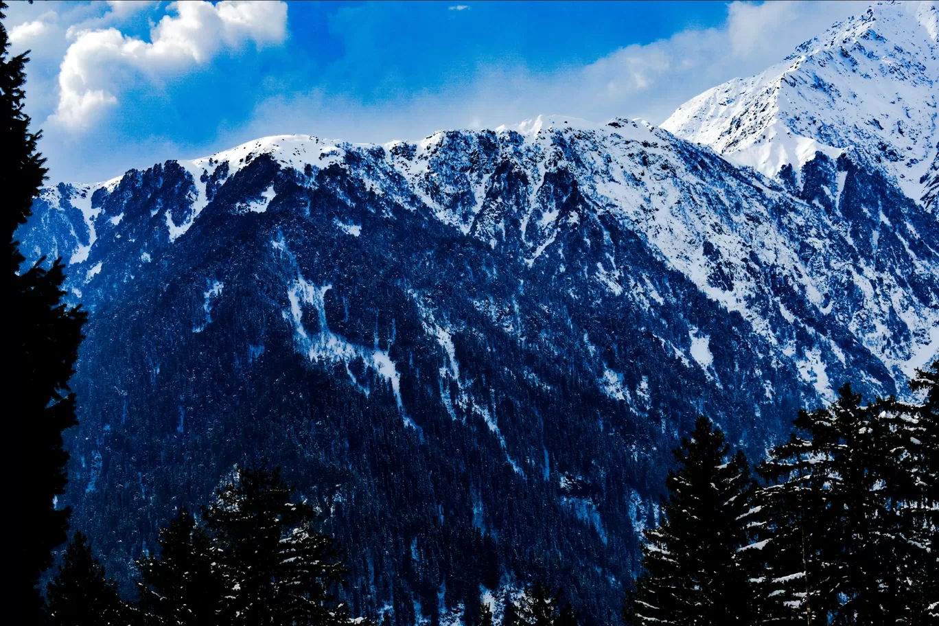 Photo of Riyara By Tanush Pas