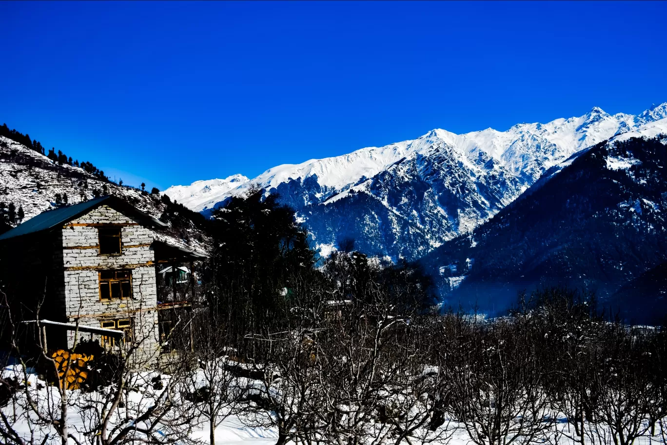 Photo of Riyara By Tanush Pas