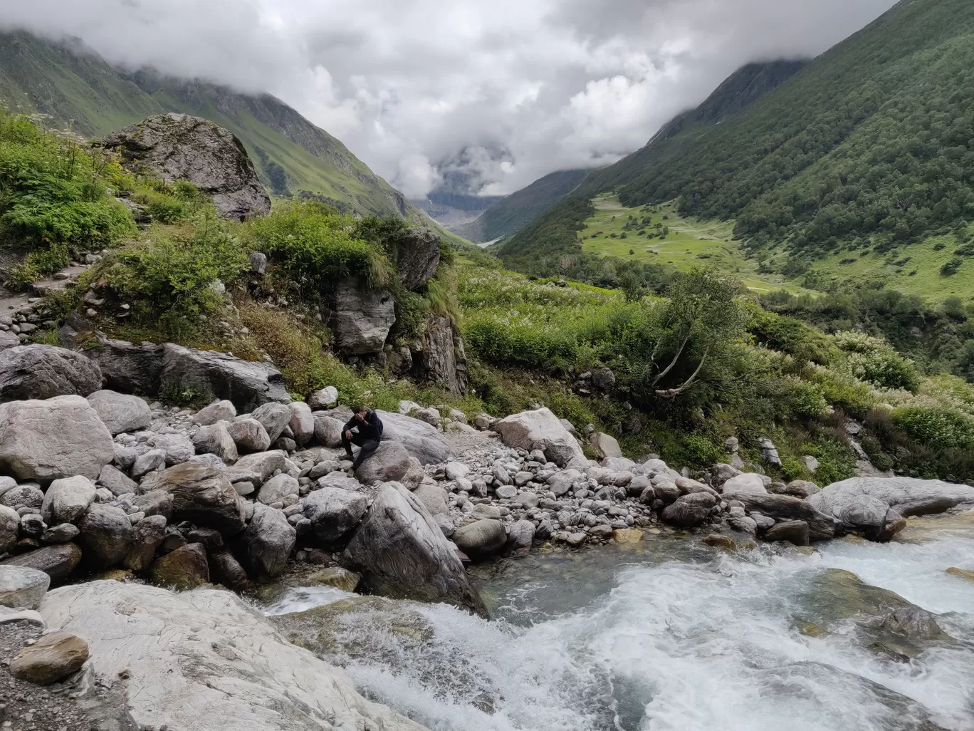 Photo of Valley of Flowers National Park By letsdosometravel