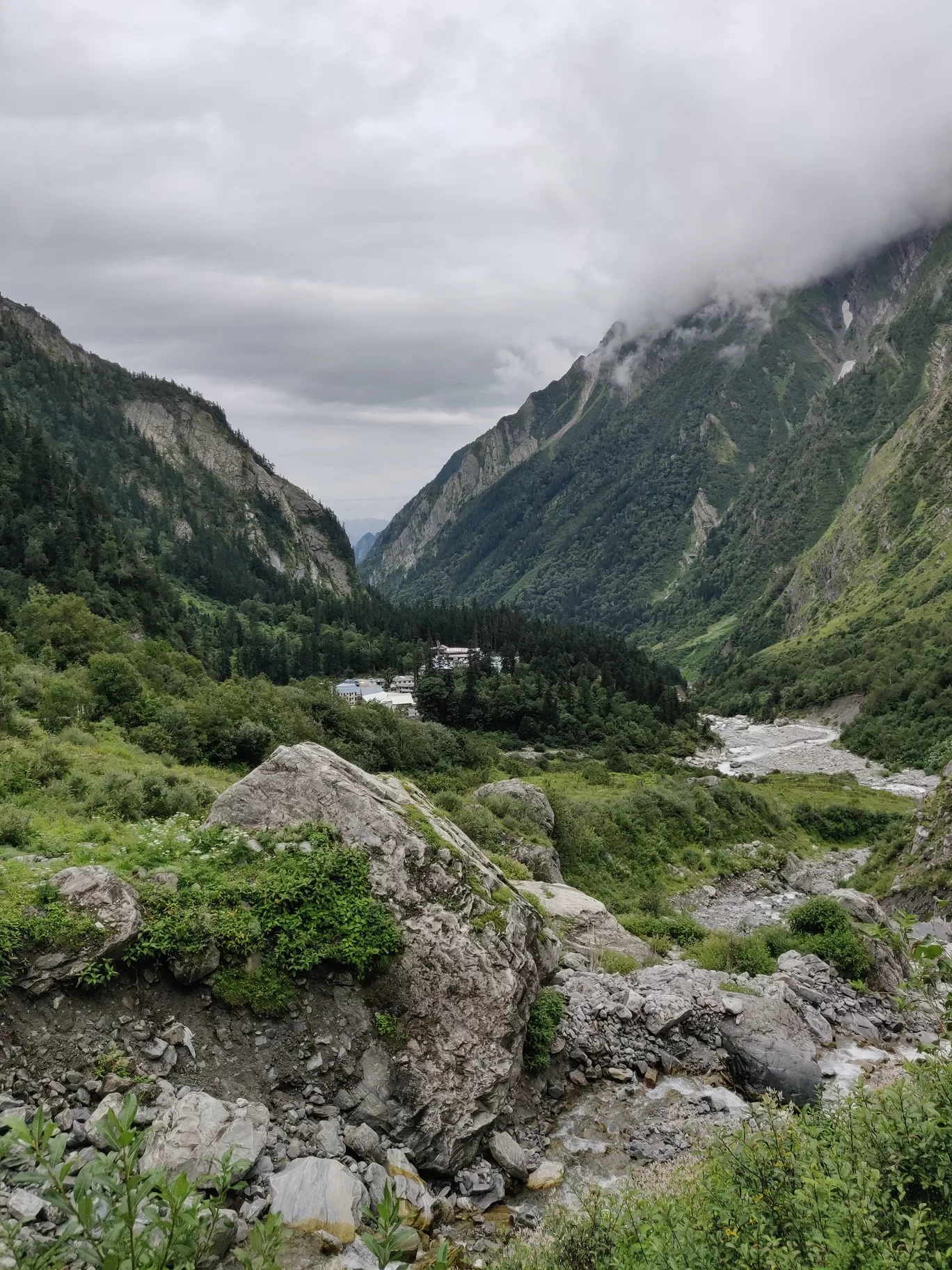Photo of Valley of Flowers National Park By letsdosometravel