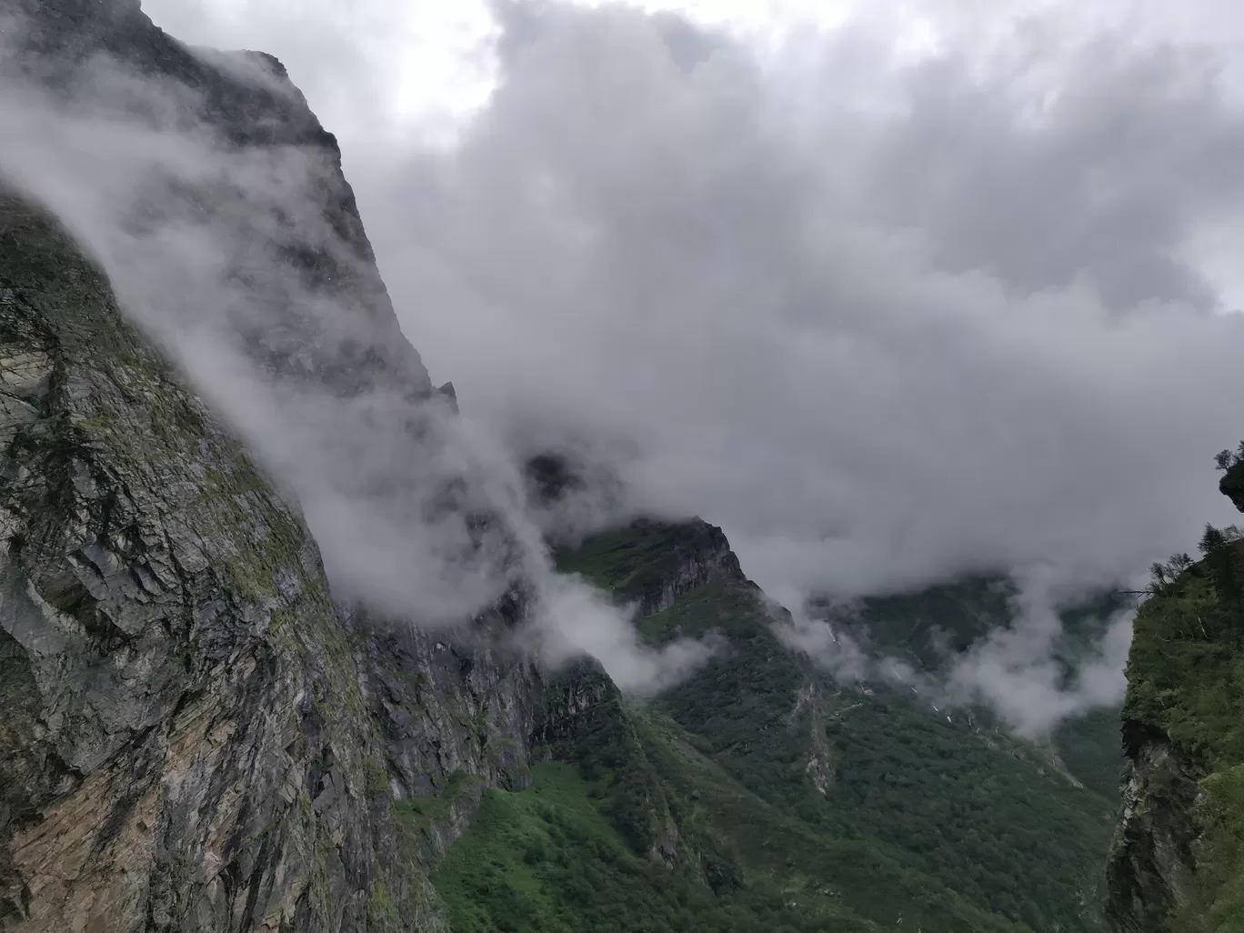 Photo of Valley of Flowers National Park By letsdosometravel