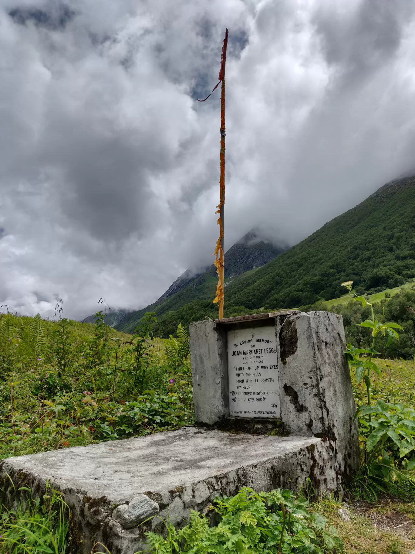 Photo of Valley of Flowers National Park By letsdosometravel