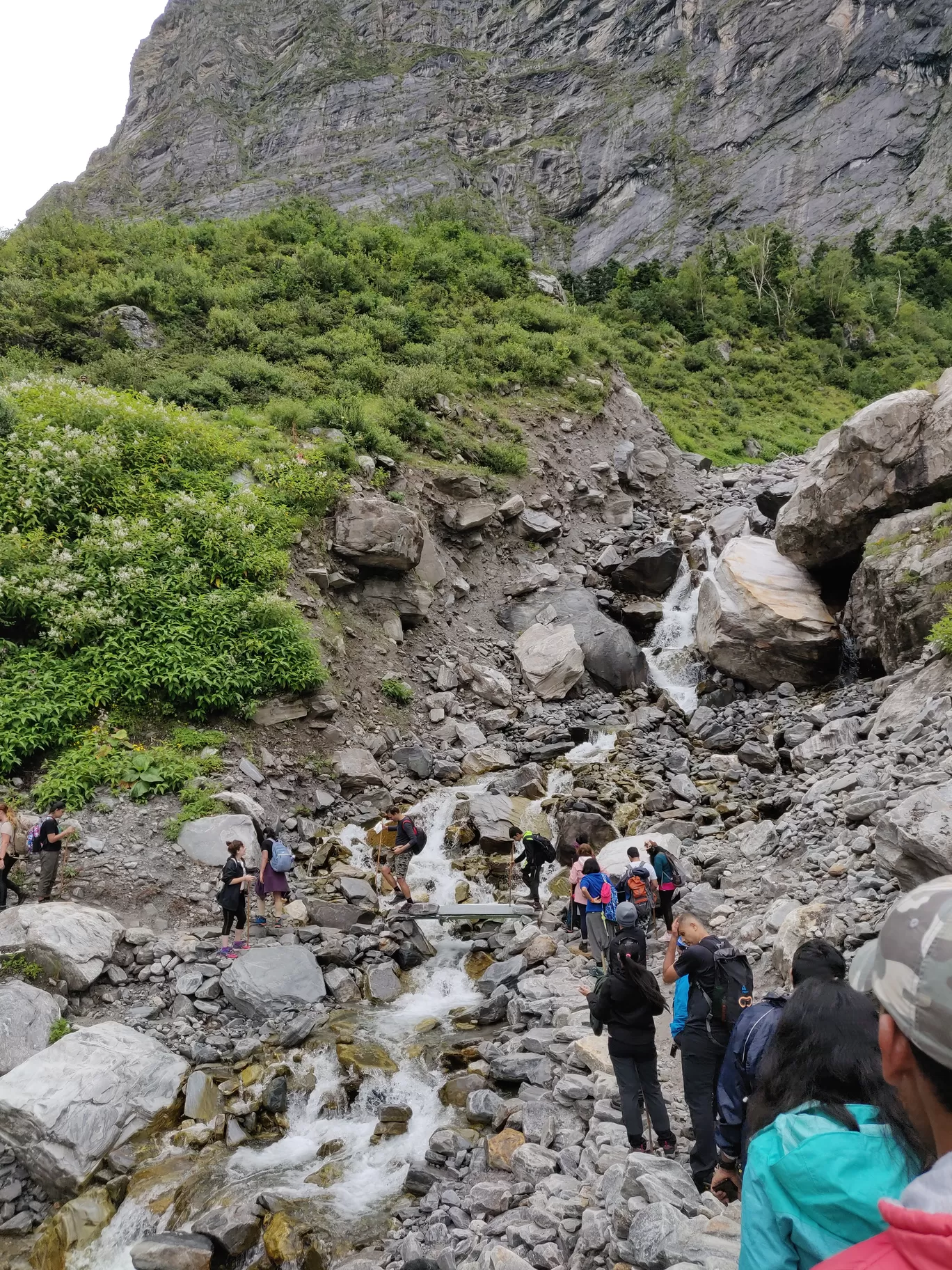 Photo of Valley of Flowers National Park By letsdosometravel