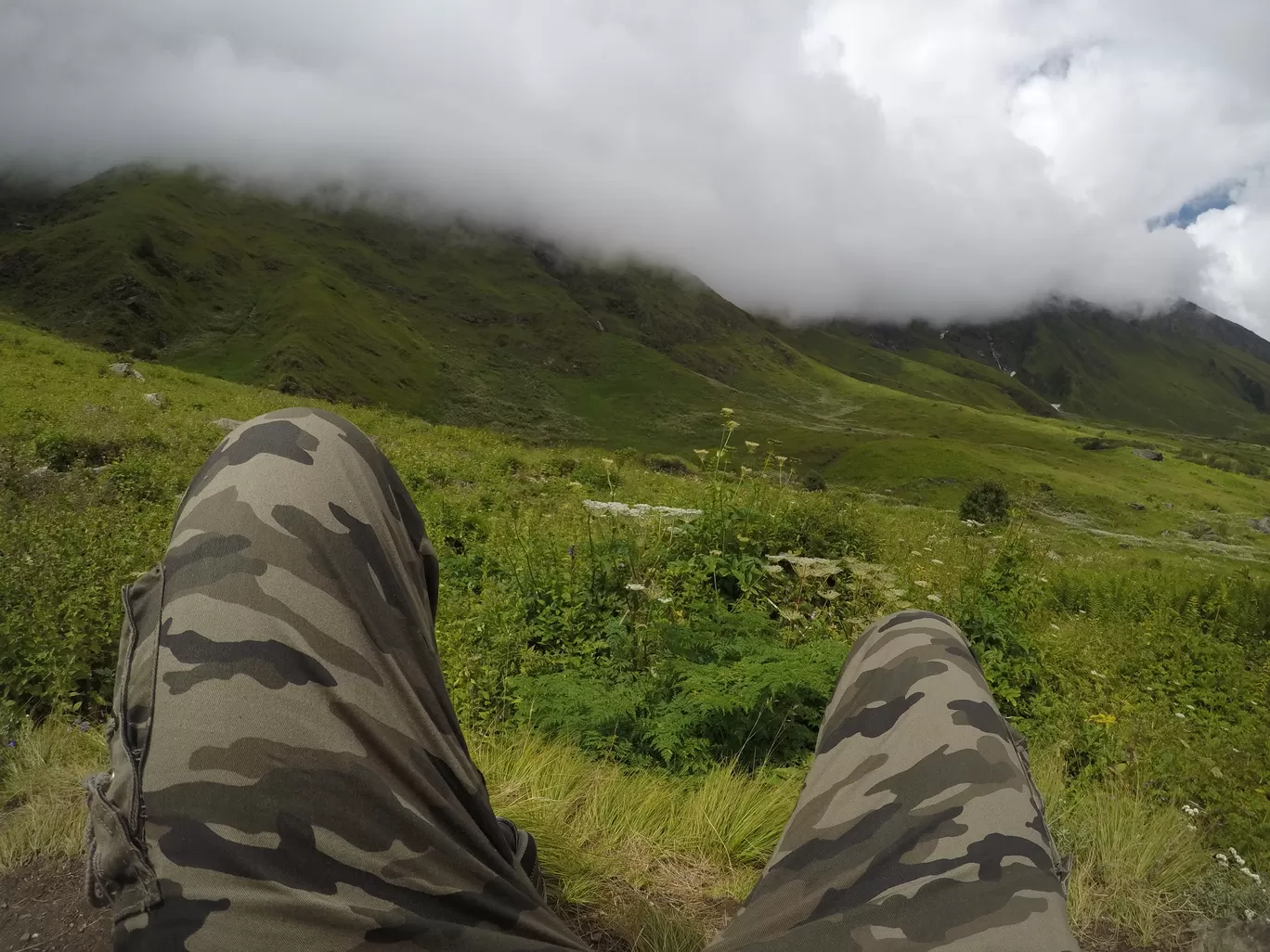 Photo of Valley of Flowers National Park By letsdosometravel