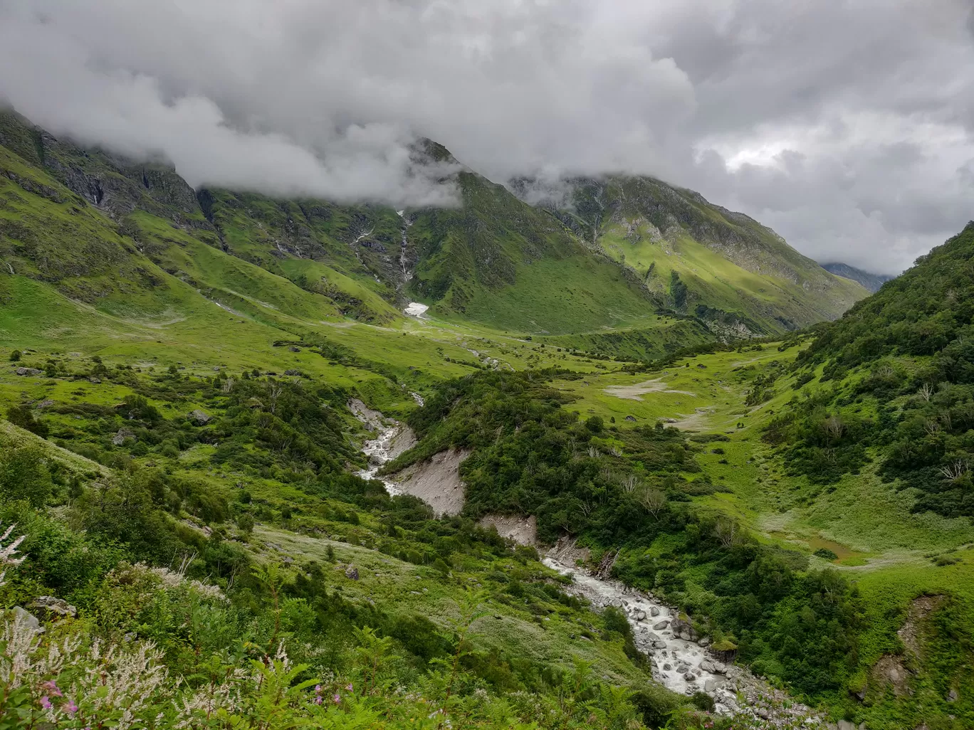 Photo of Valley of Flowers National Park By letsdosometravel