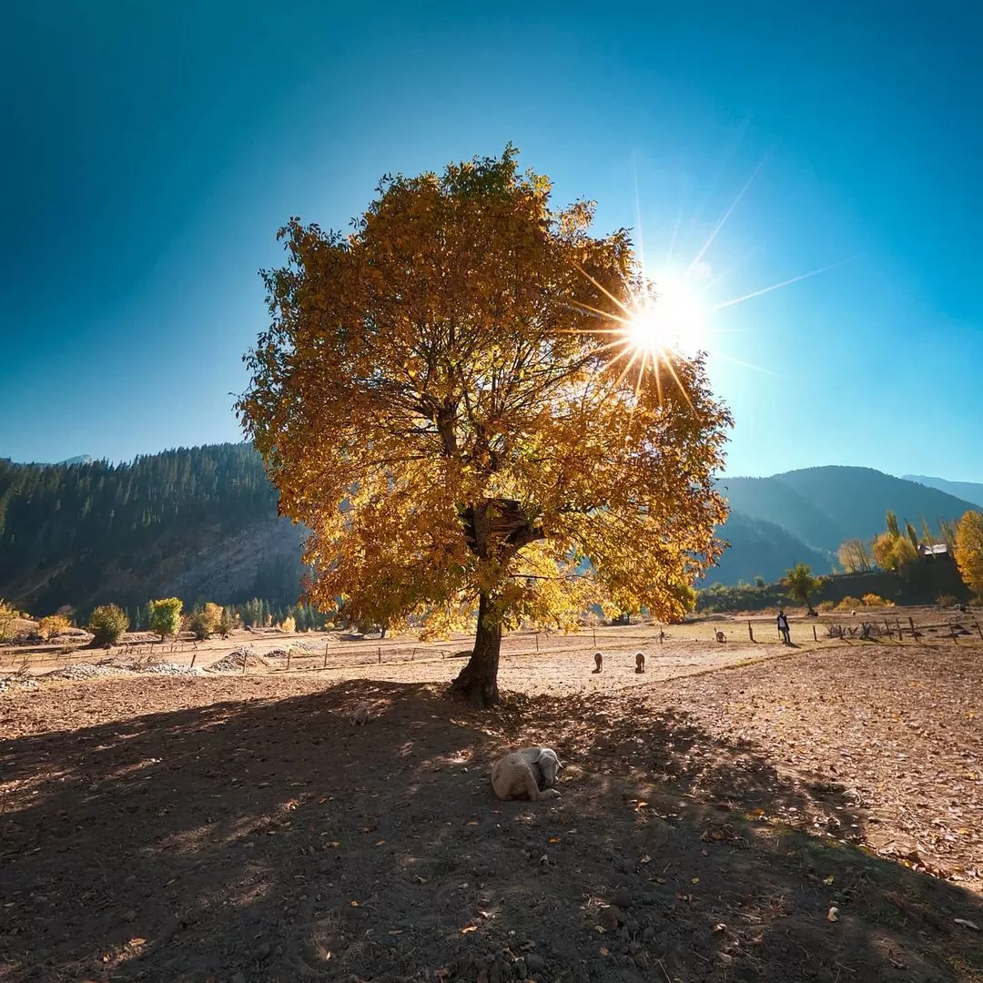 Photo of Gurez Valley By Hardik Ataliwala | Travel Photographer