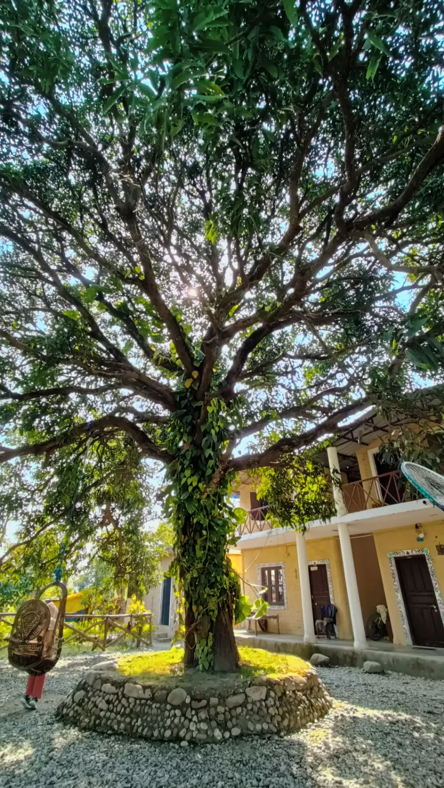 Photo of Rishikesh By Hardik Ataliwala | Travel Photographer