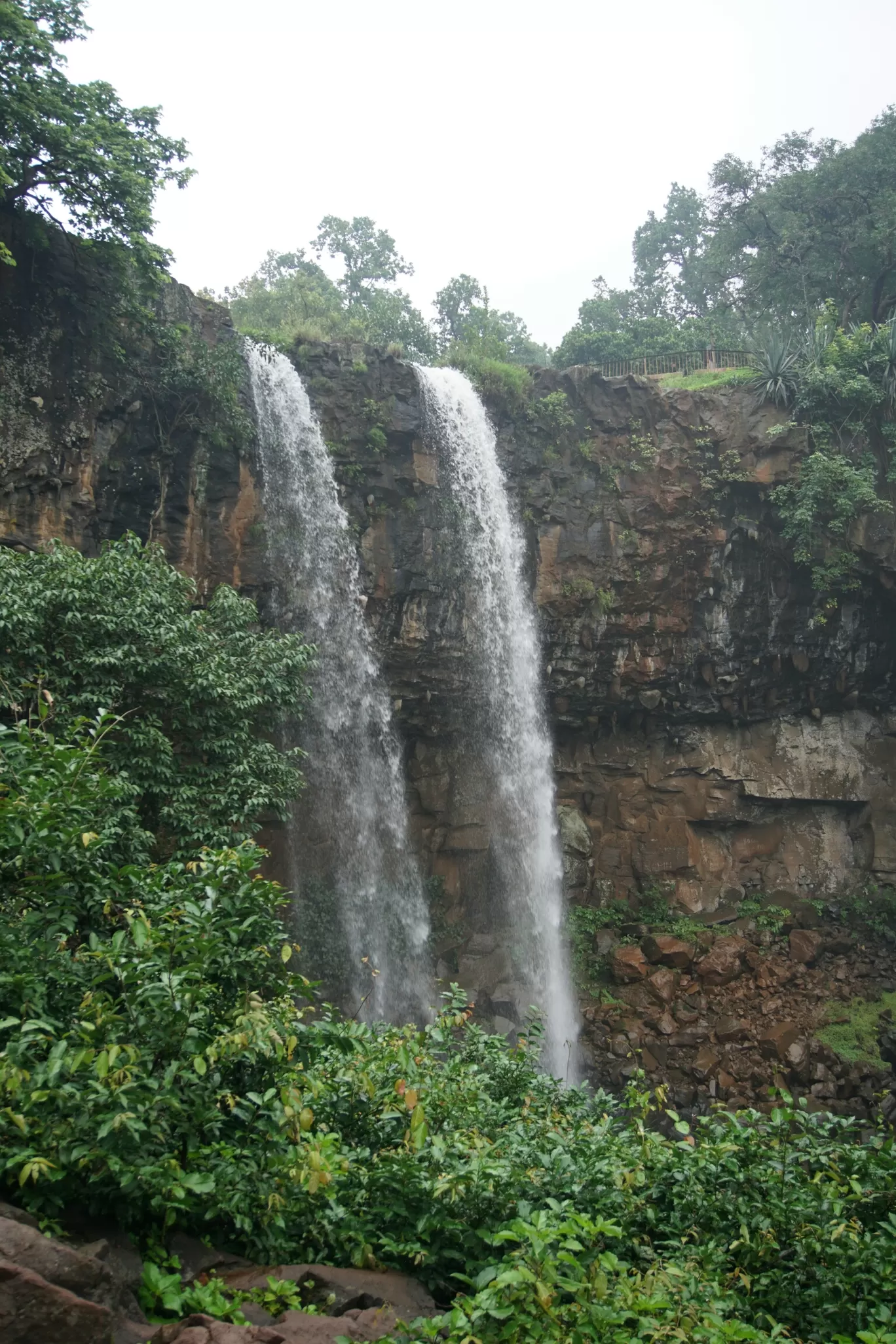 Photo of Amarkantak By Vishal Panjwani (WandererVishal)