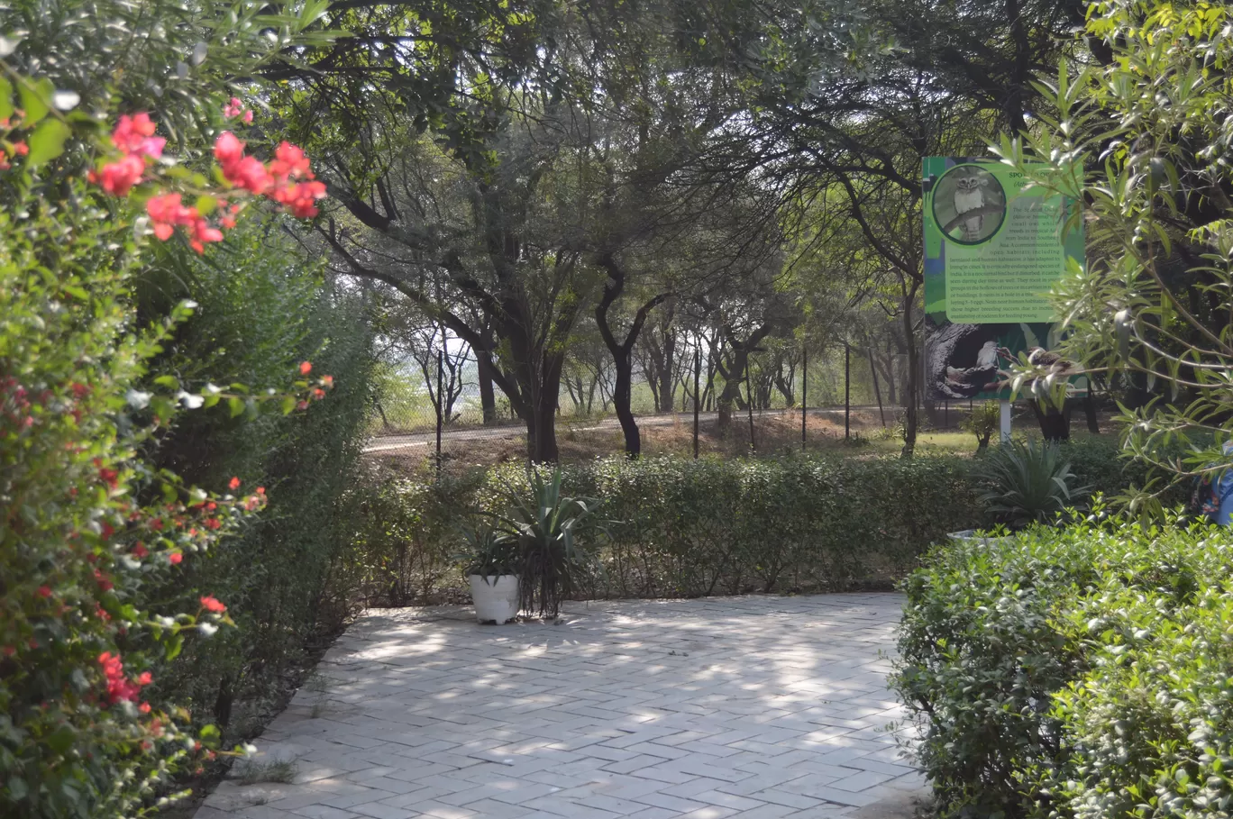 Photo of Sultanpur National Park By Asif Rashid