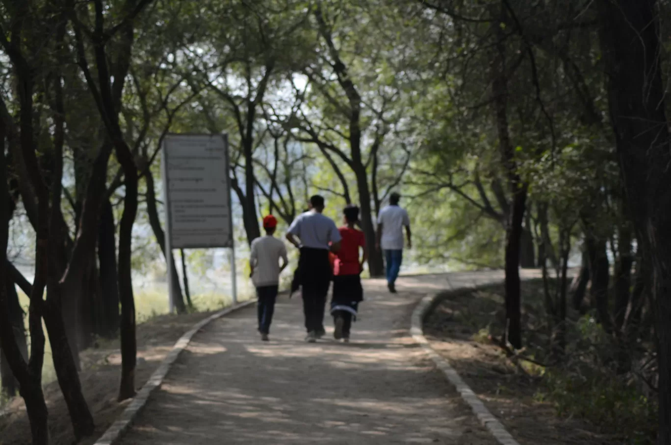 Photo of Sultanpur National Park By Asif Rashid