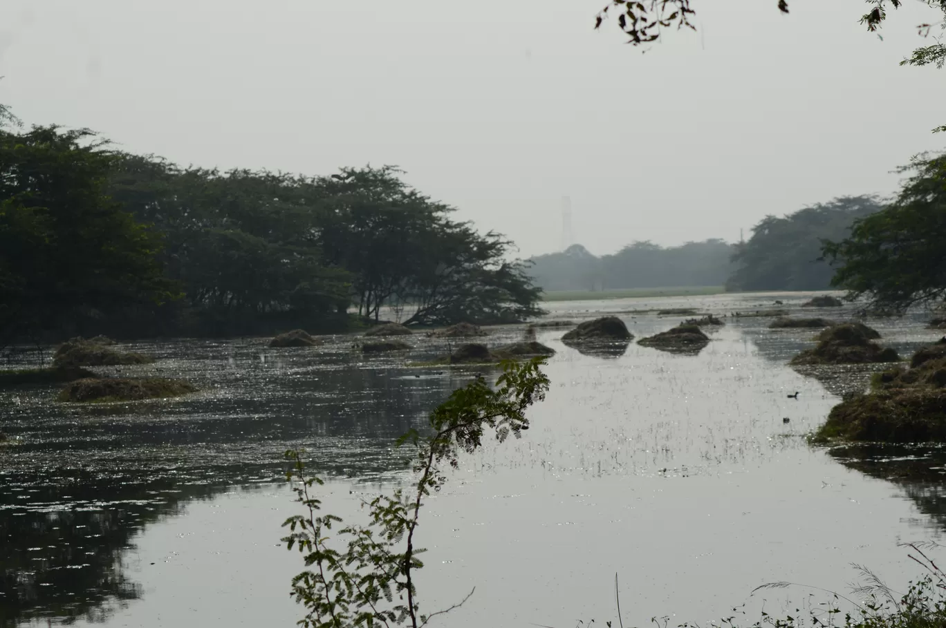 Photo of Sultanpur National Park By Asif Rashid
