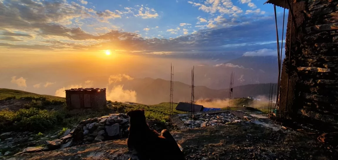 Photo of Chopta By aditya bhandari