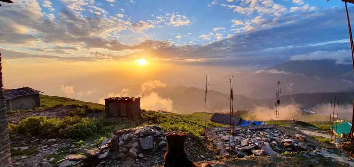 Photo of Chopta By aditya bhandari