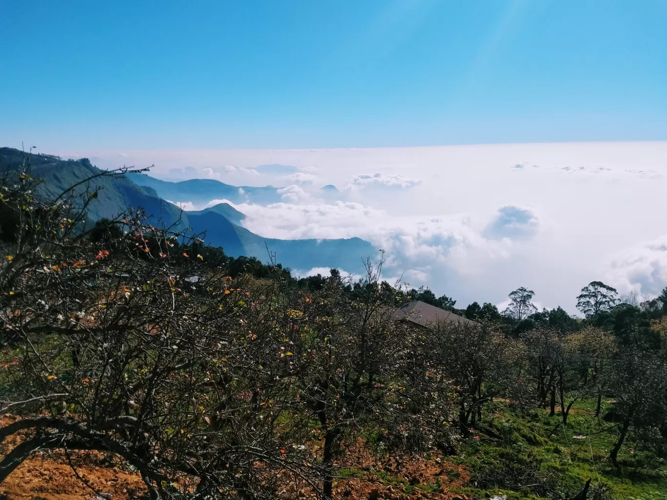 Photo of Kodaikanal By pitta praneeth