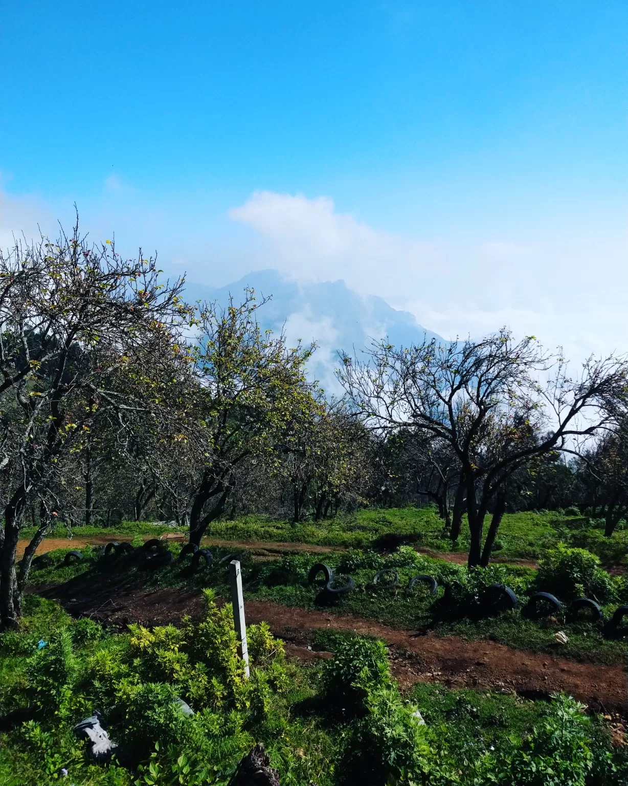 Photo of Kodaikanal By pitta praneeth