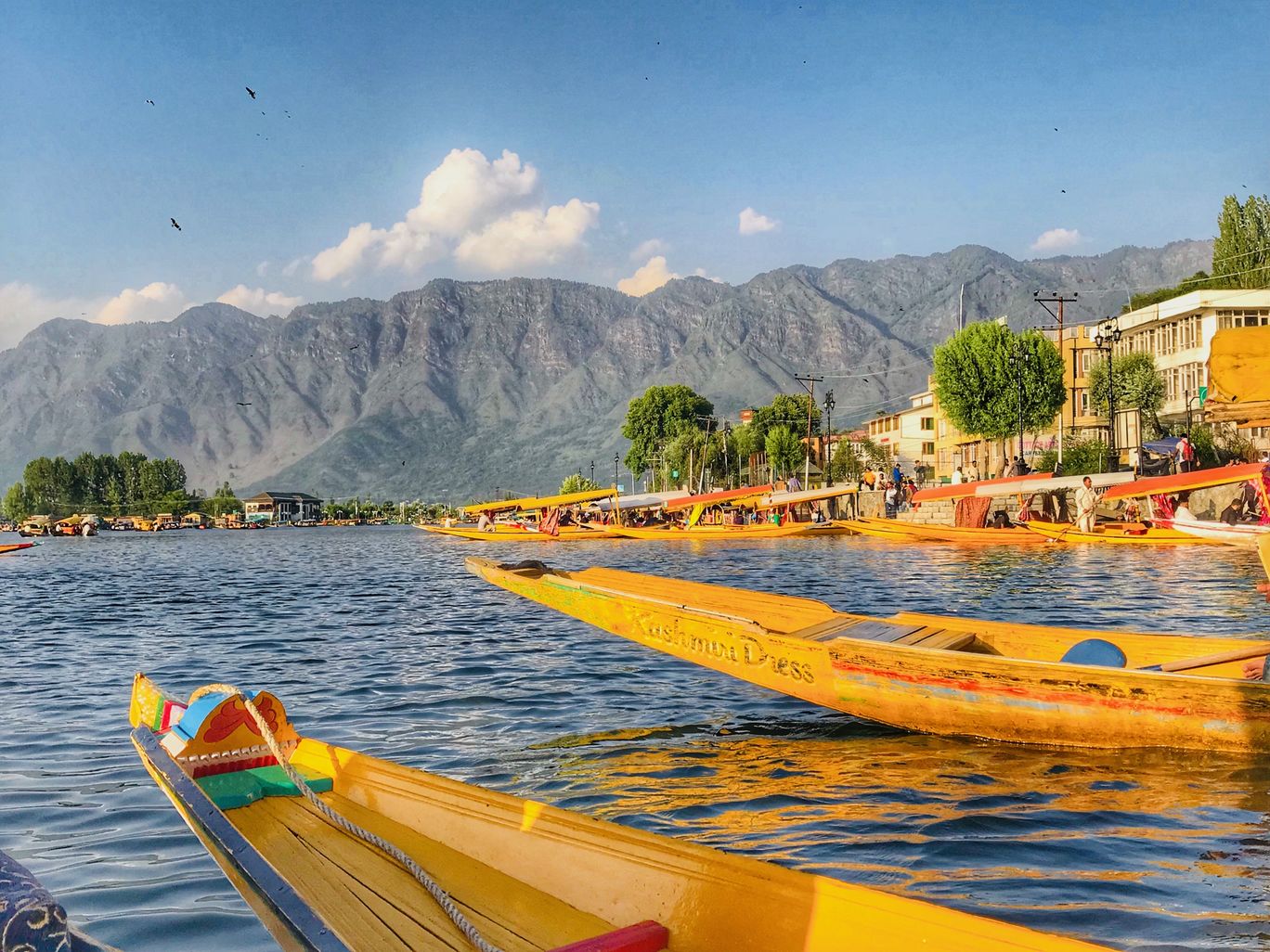Photo of Srinagar By Derick Gaikwad