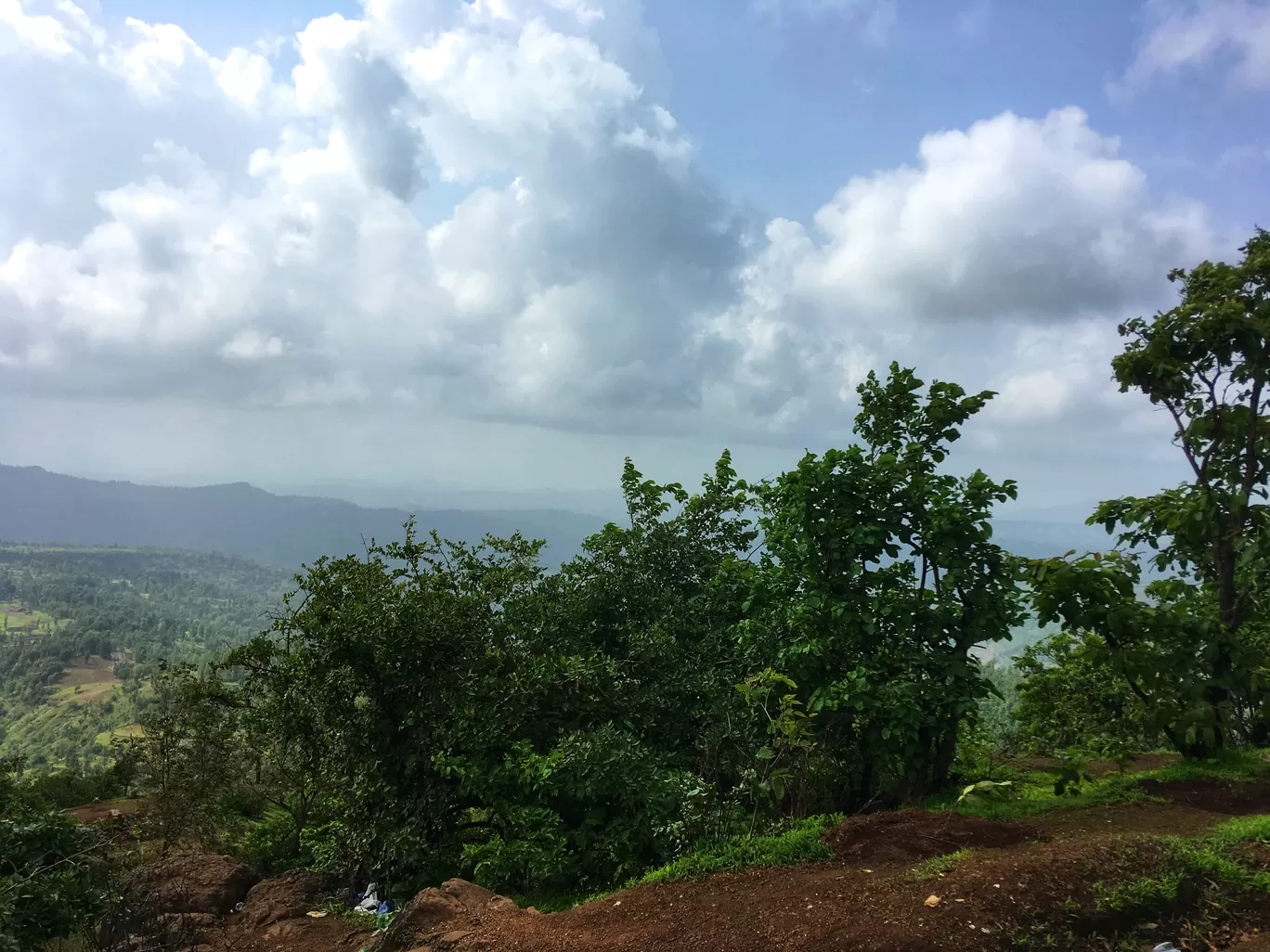 Photo of Wilson Hills By Lokesh Aryan