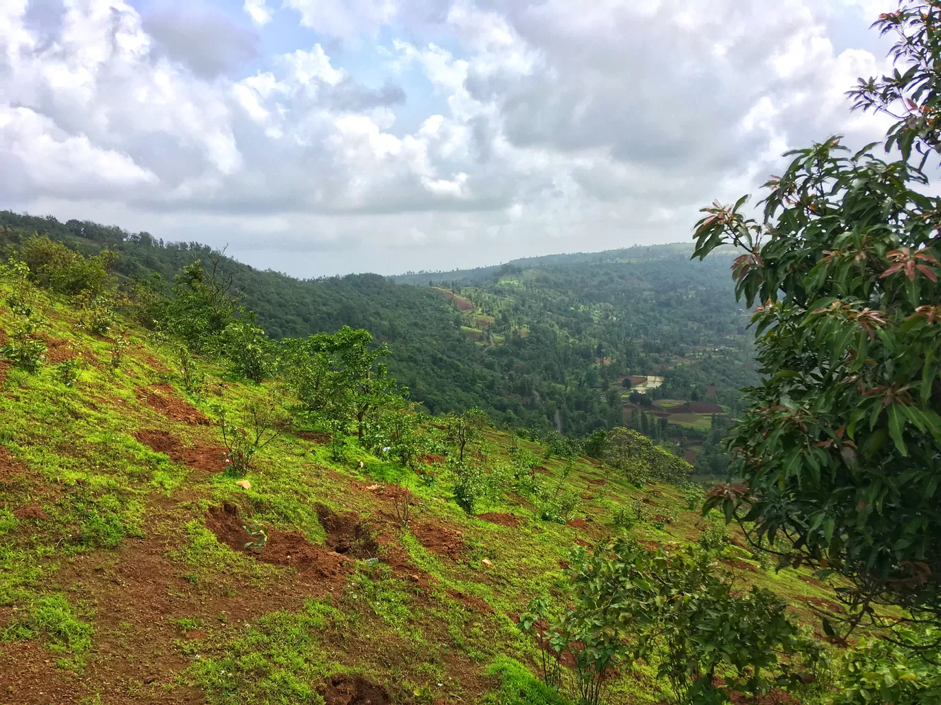 Photo of Wilson Hills By Lokesh Aryan