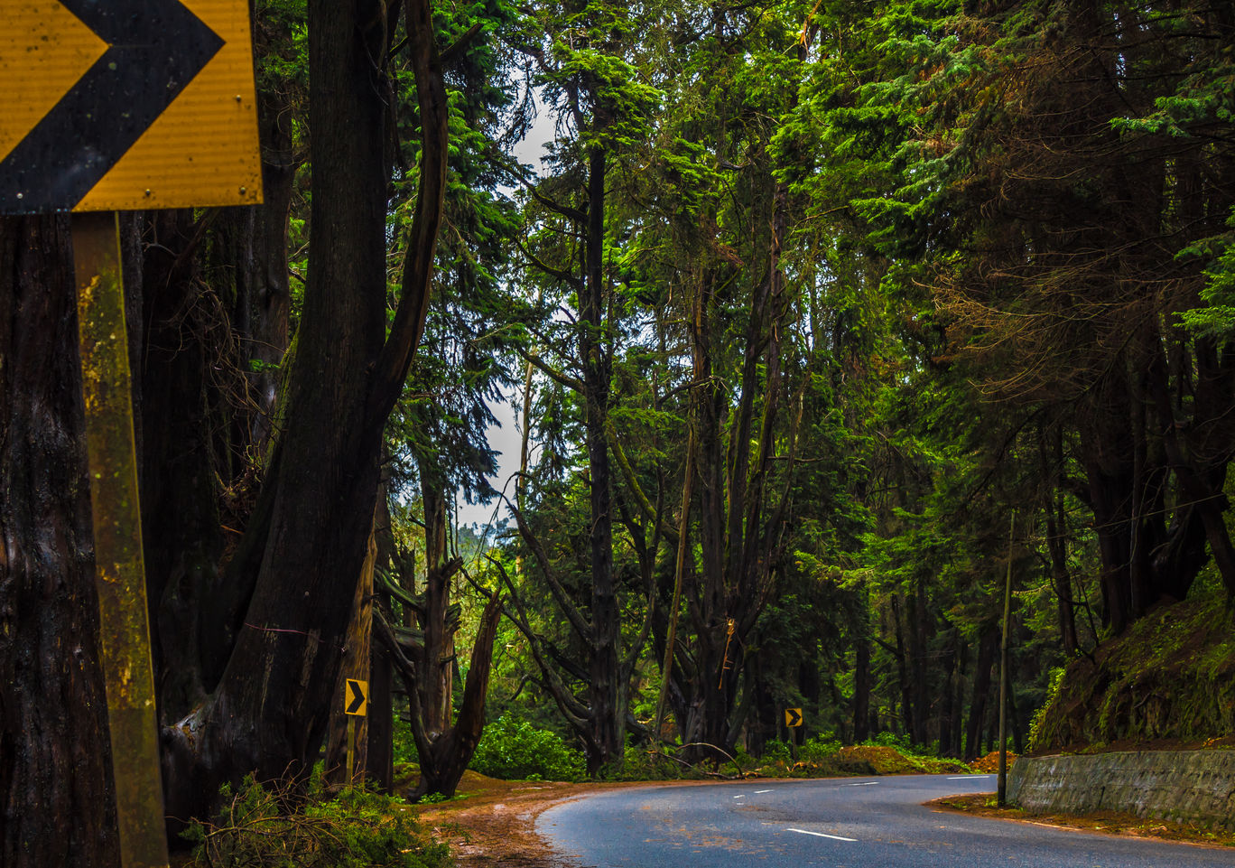 Photo of Ooty,TamilNadu By Yogesh Rajput