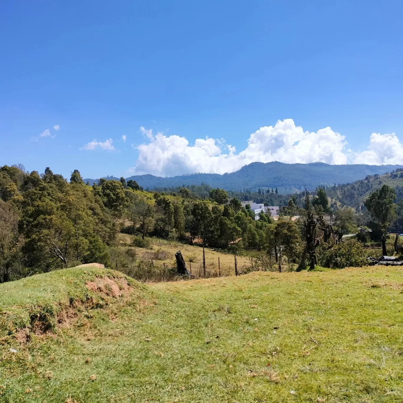 Photo of Kodaikanal Hill Station By Kirthivasan