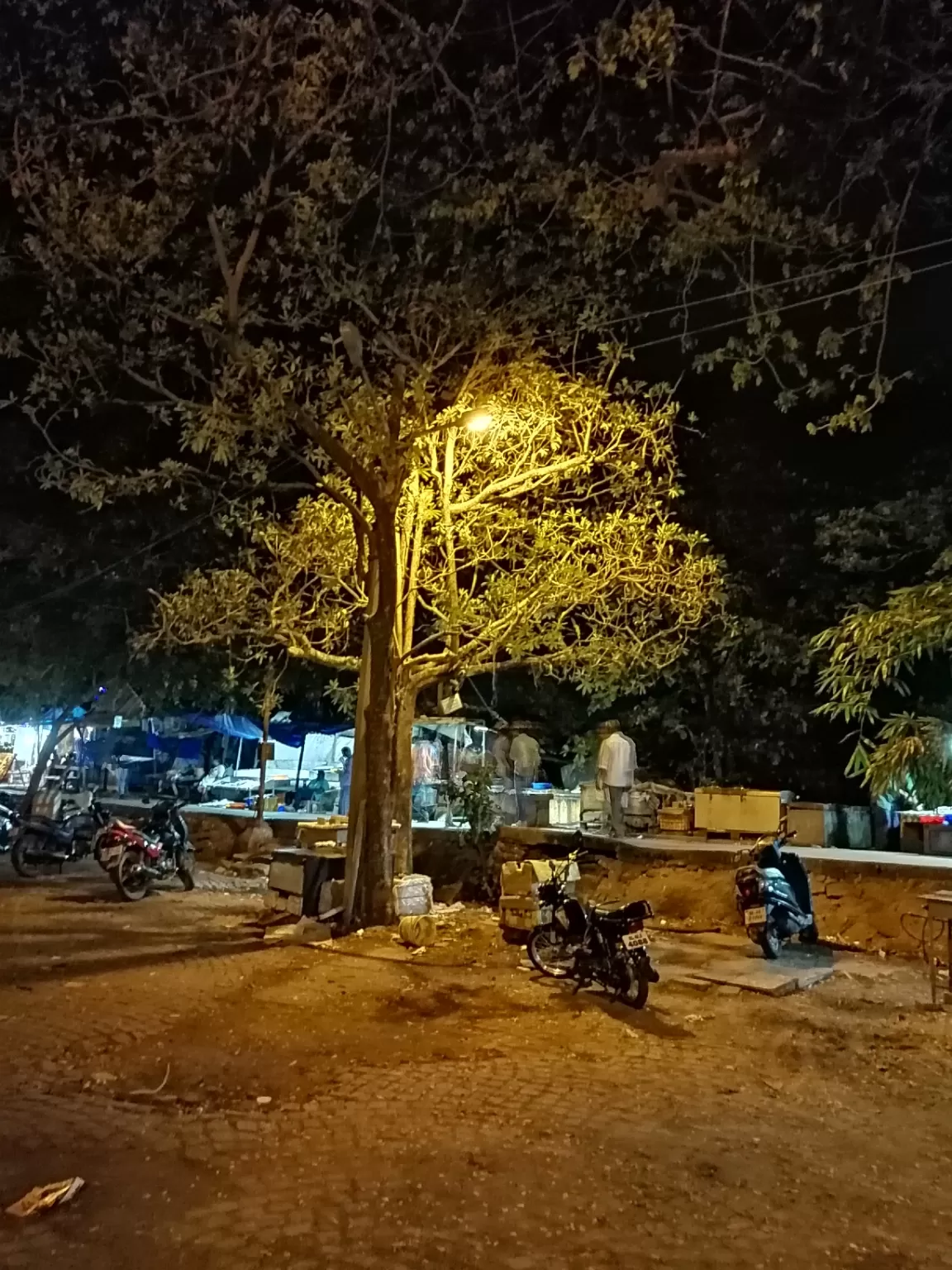 Photo of Fort Kochi Beach By Vineesh Kumar
