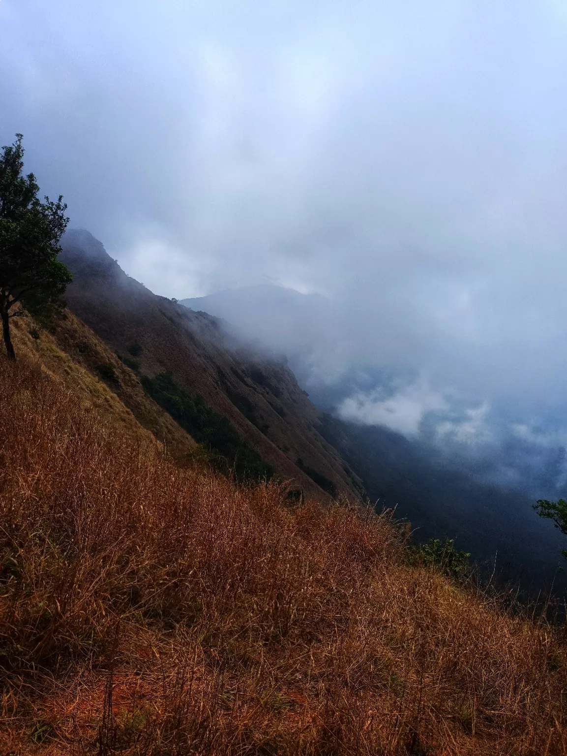 Photo of Kodachadri By Vineesh Kumar