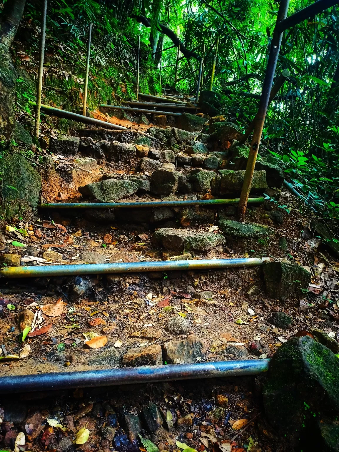 Photo of Meenmutty Waterfalls By Vineesh Kumar