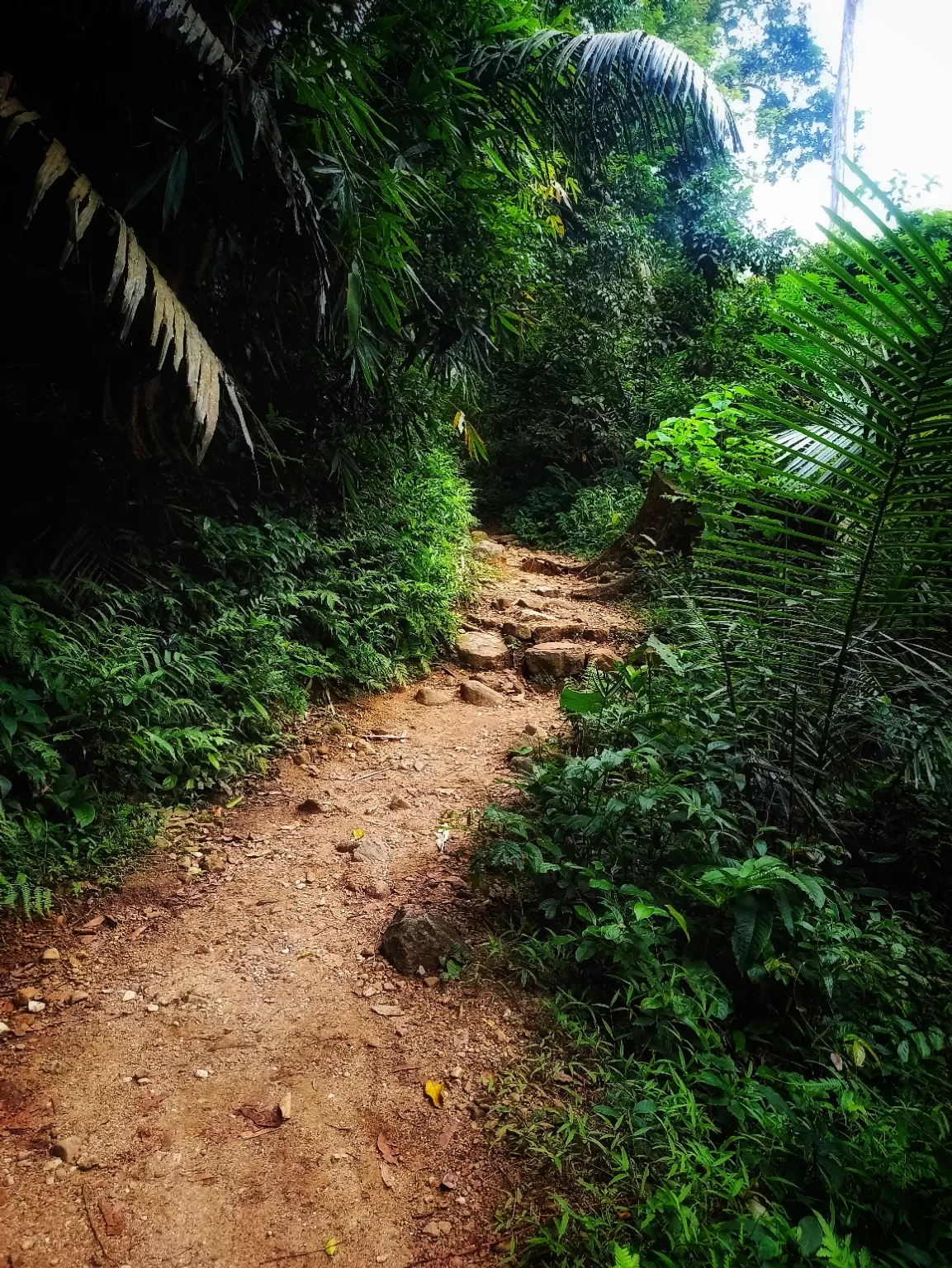 Photo of Meenmutty Waterfalls By Vineesh Kumar