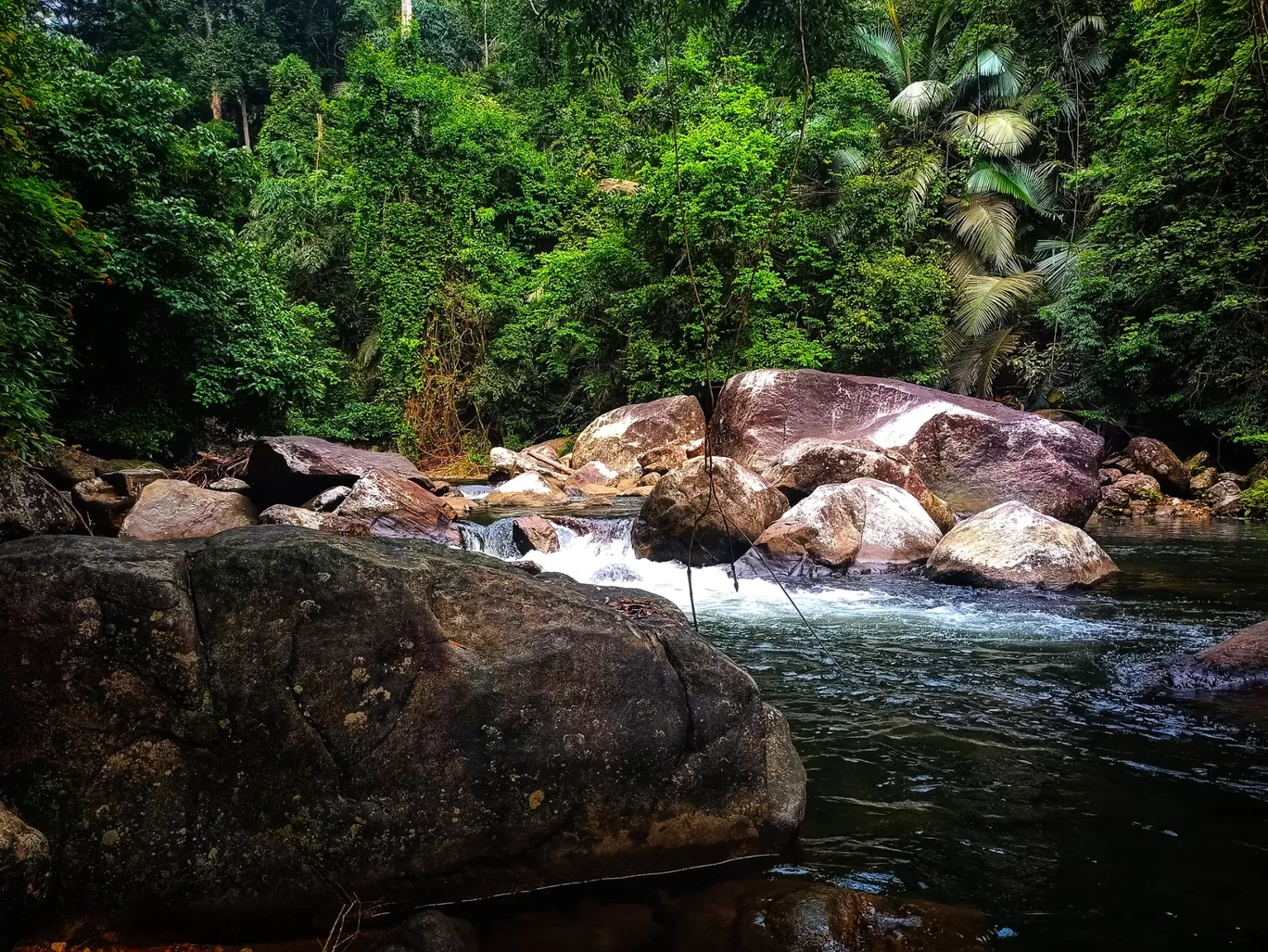 Photo of Meenmutty Waterfalls By Vineesh Kumar