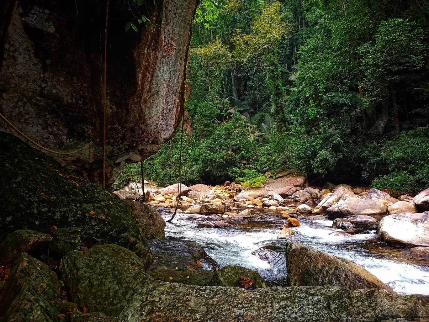 Photo of Meenmutty Waterfalls By Vineesh Kumar