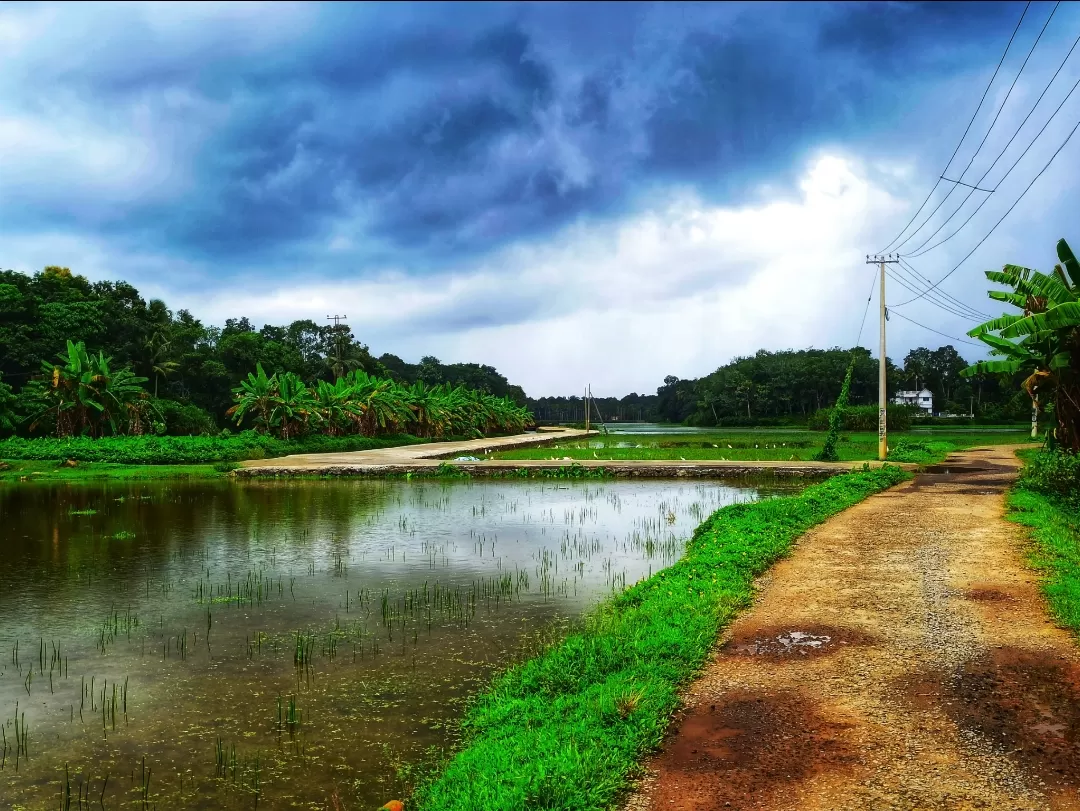 Photo of Kottayam By Vineesh Kumar