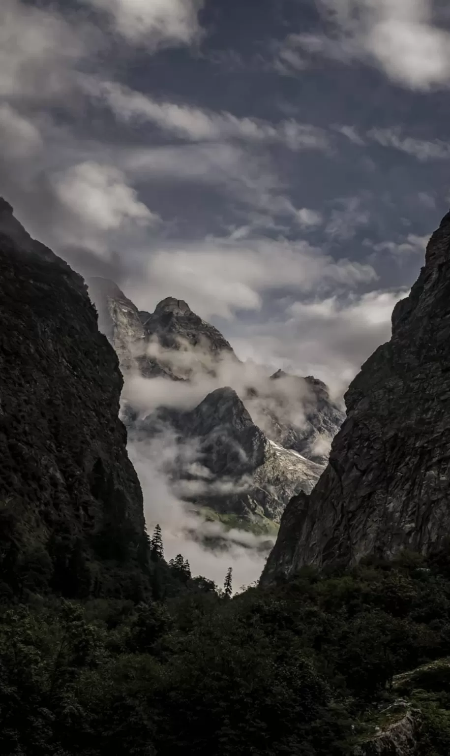 Photo of Valley of Flowers National Park By Sameer