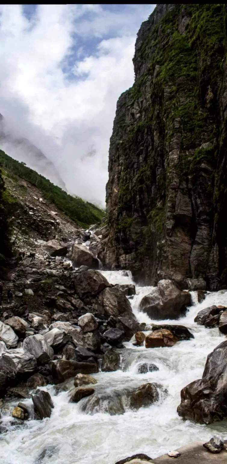 Photo of Valley of Flowers National Park By Sameer
