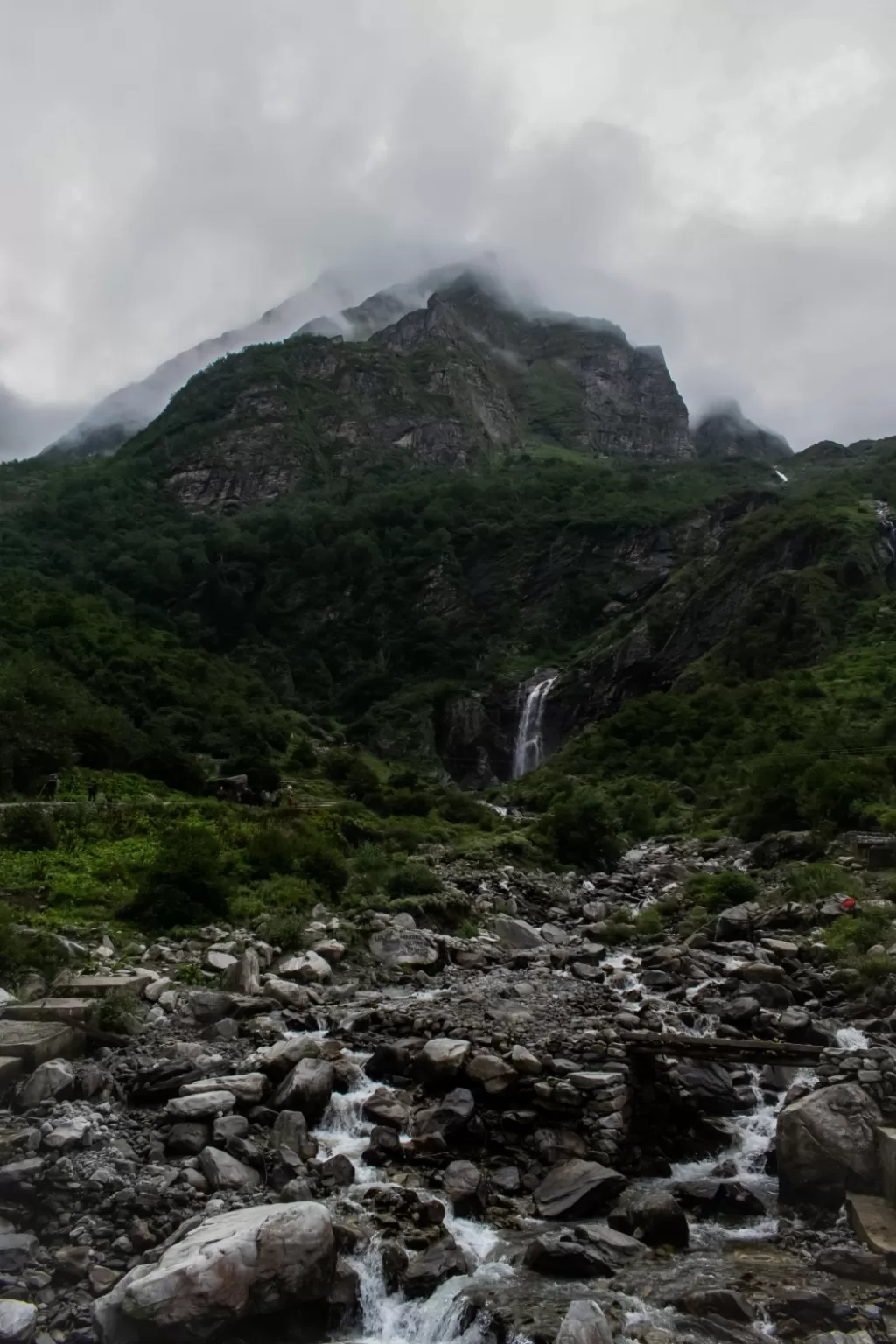 Photo of Valley of Flowers National Park By Sameer