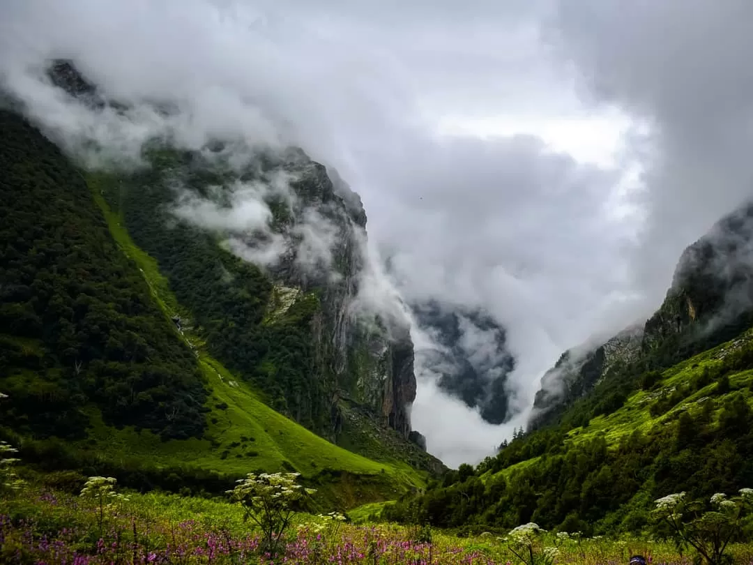 Photo of Valley of Flowers National Park By Sameer